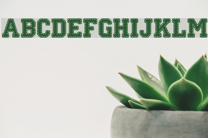 Stitch'n School Font examples
