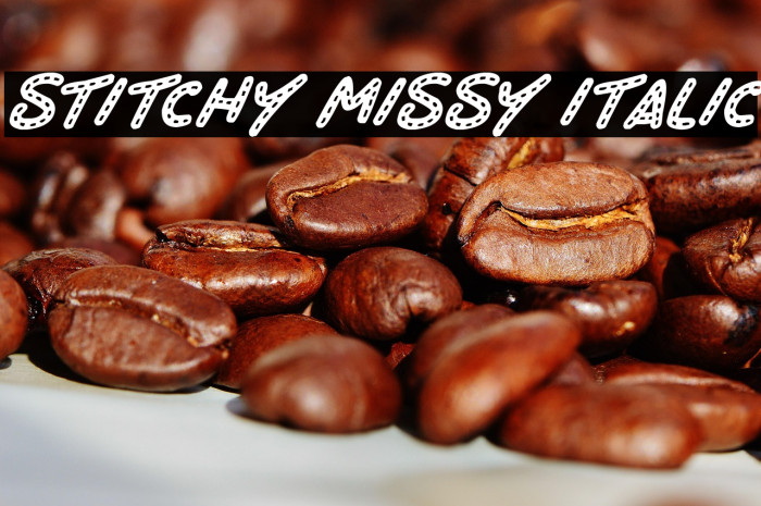 Stitchy Missy Italic Example 2