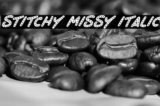 Stitchy Missy Italic Font examples