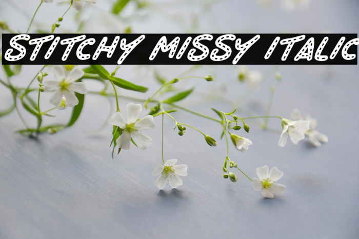 Stitchy Missy Italic Example 3