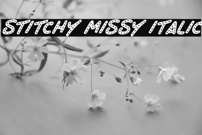 Stitchy Missy Italic Font examples
