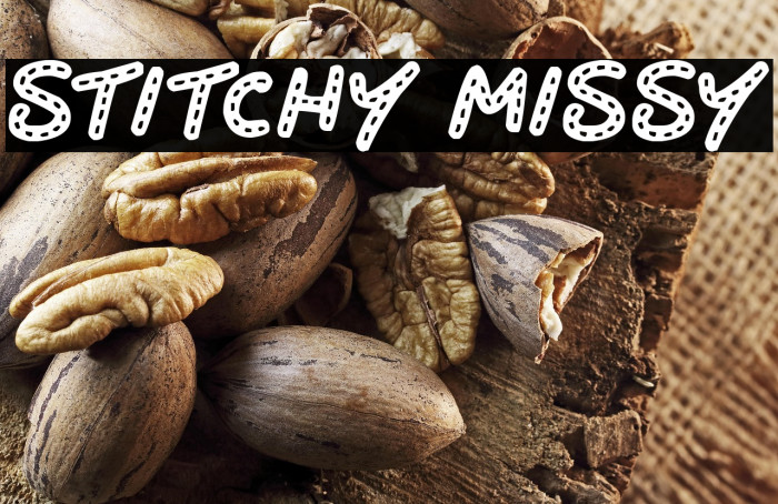 Stitchy Missy Example 1