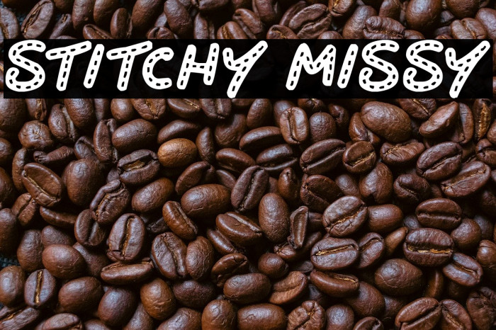 Stitchy Missy Example 2