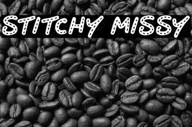 Stitchy Missy フォント examples