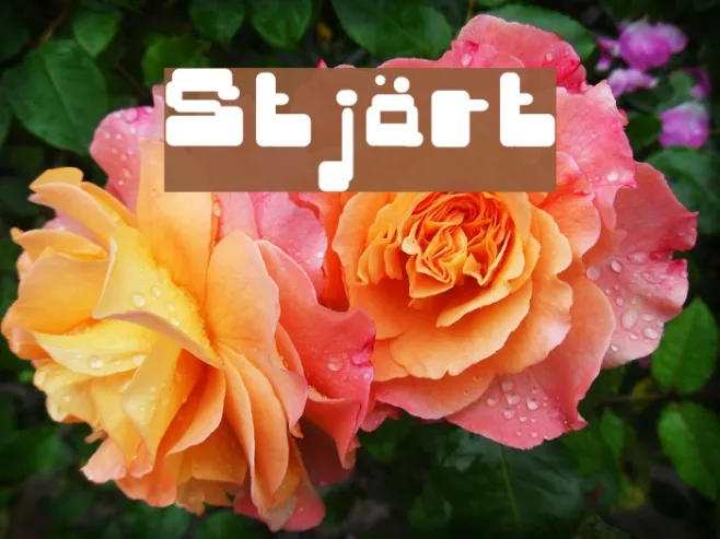 Stjärt Example 2