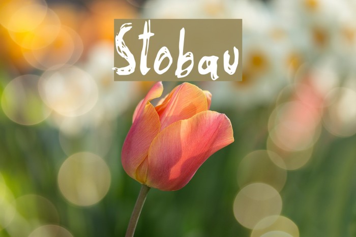 Stobau Font examples