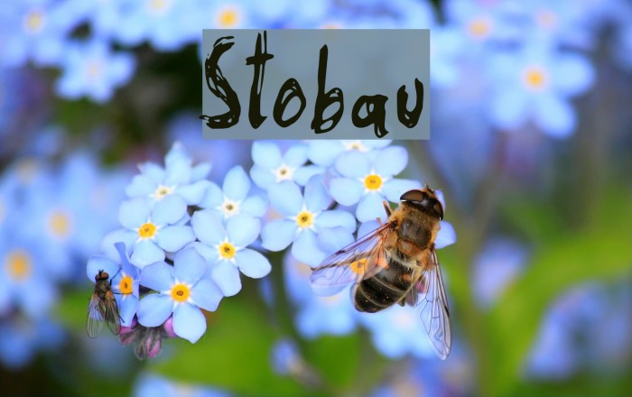 Stobau Font examples