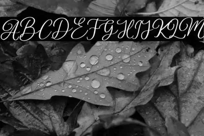 Stobils Font examples