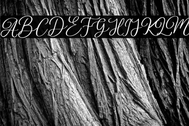 Stobils Font examples