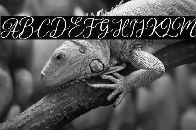 Stobils Font examples