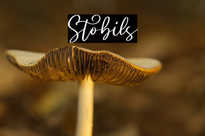Stobils Example 1