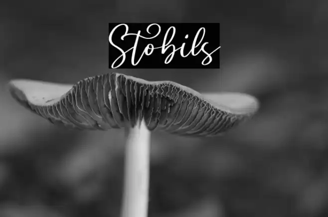 Stobils Font examples