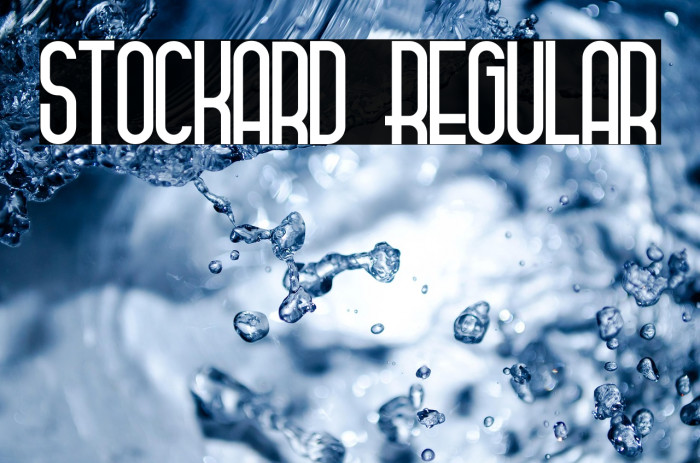 Stockard Regular Example 2