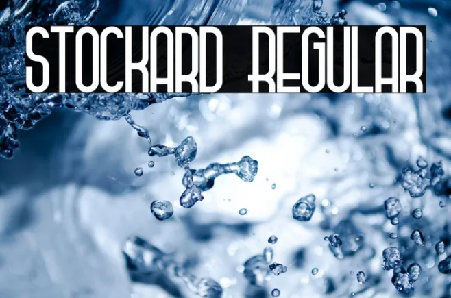 Stockard Regular Example 2