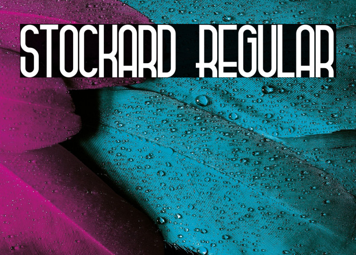 Stockard Regular Example 3