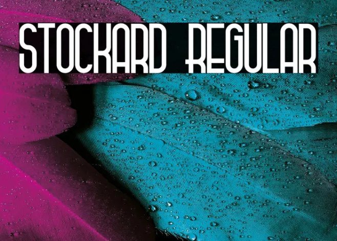 Stockard Regular Example 3