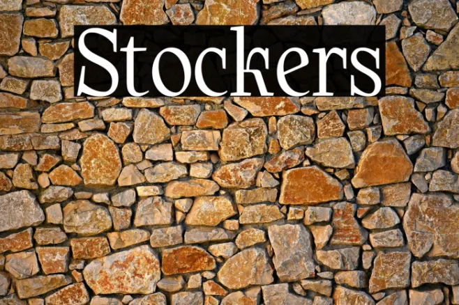 Stockers Example 2