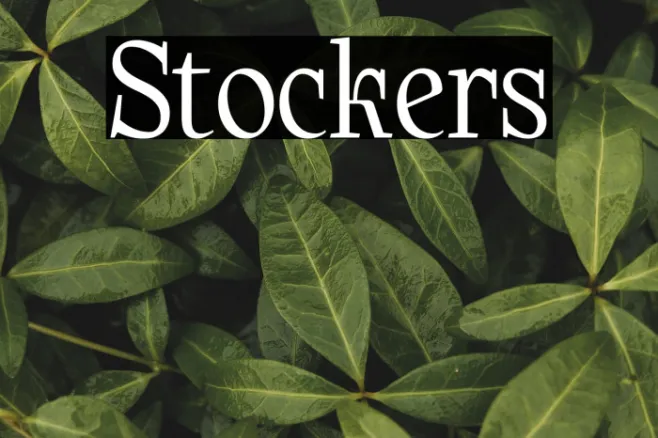 Stockers Example 3