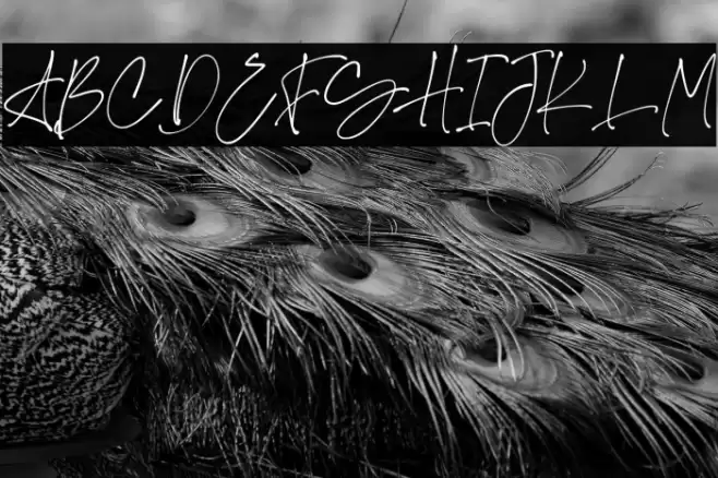 Stockholm Polices examples