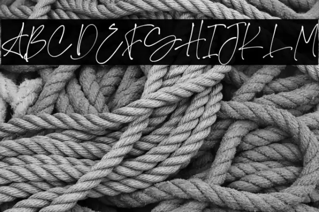 Stockholm Polices examples