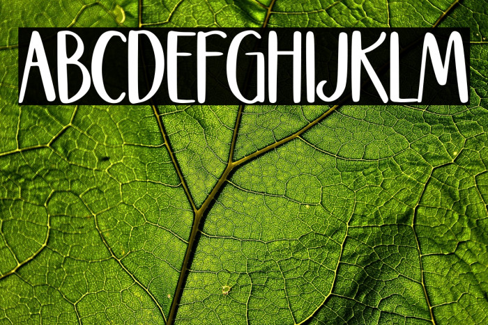 Stockhome Polices examples