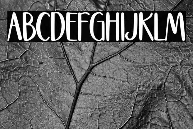 Stockhome Font examples