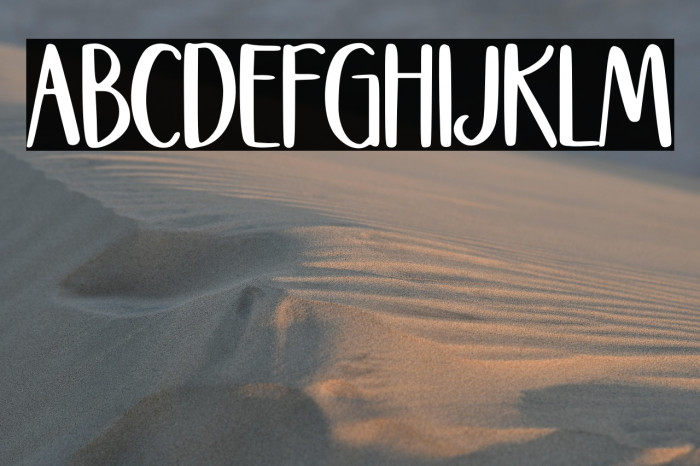 Stockhome Polices examples