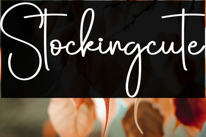 Stockingcute Example 2