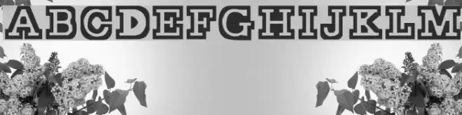 Stocky Schriftart examples