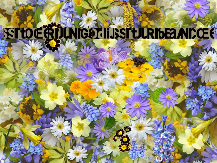 StoerungDisturbance Font examples