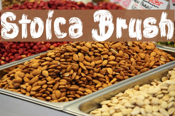 Stoica Brush Example 2