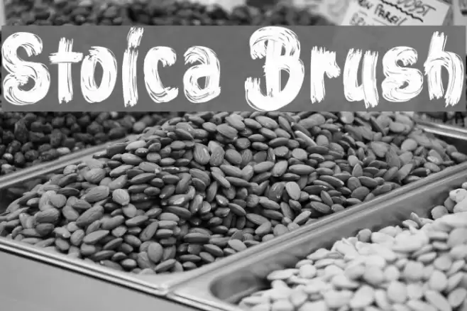 Stoica Brush Font examples