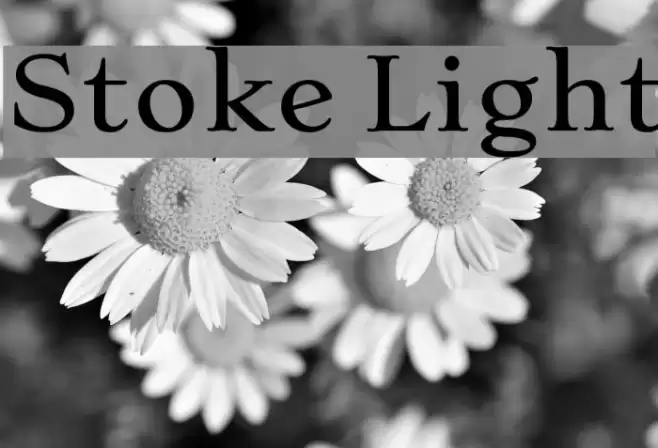 Stoke Light Font examples