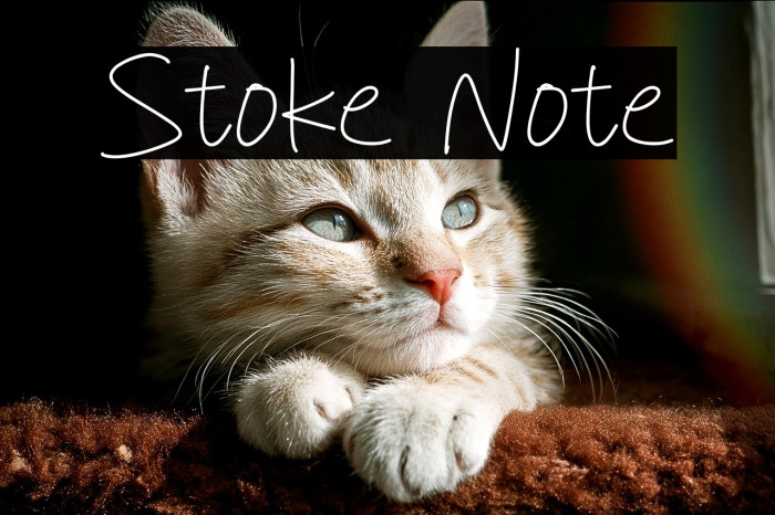 Stoke Note Example 2