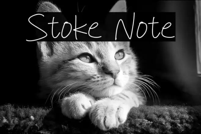 Stoke Note Font examples
