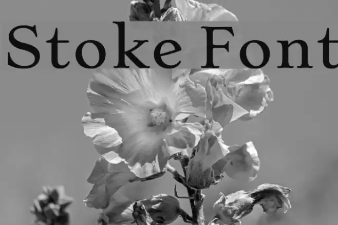 Stoke Font examples
