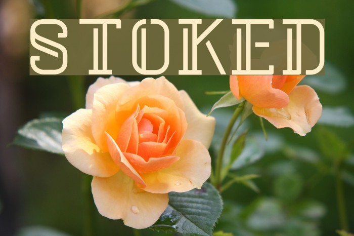 Stoked Font examples
