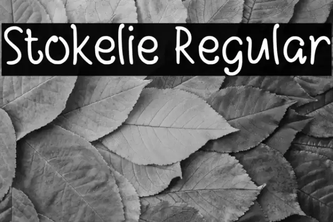 Stokelie Regular Polices examples