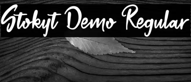 Stokyt Demo Regular Fuentes examples