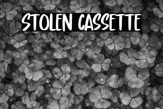 Stolen Cassette خط examples