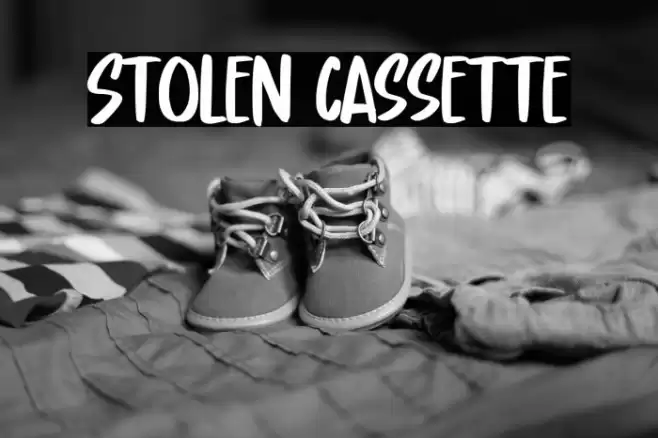 Stolen Cassette خط examples