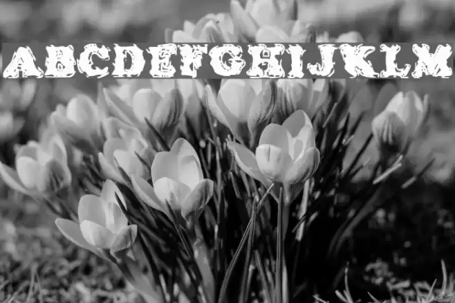 Stolen LlamaRegular Font examples