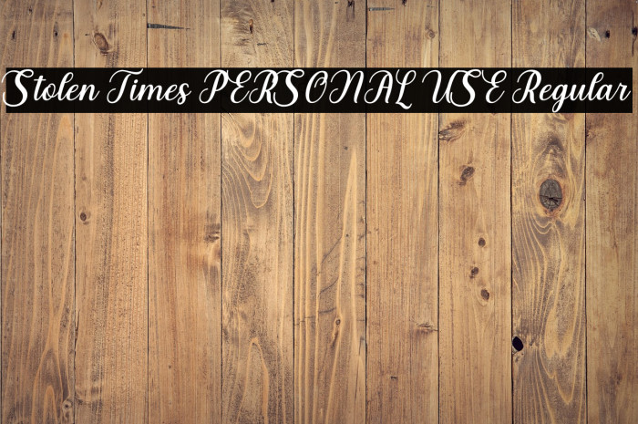 Stolen Times PERSONAL USE Regular Example 2