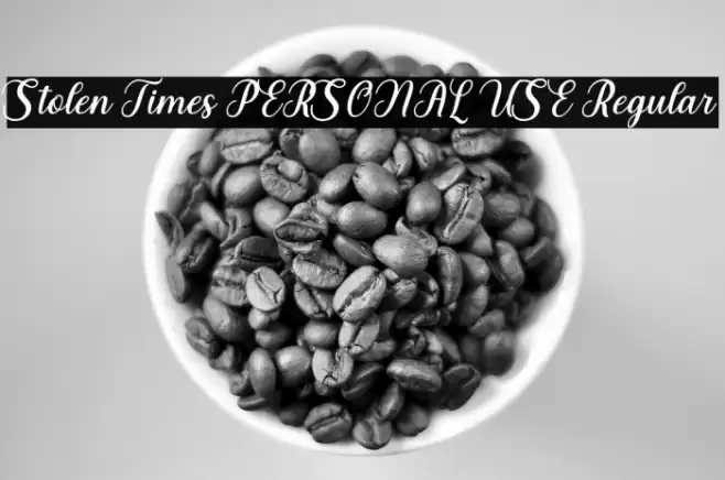 Stolen Times PERSONAL USE Regular Font examples