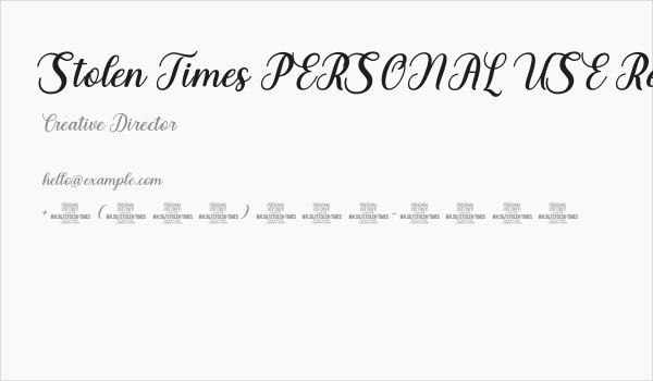 Stolen Times PERSONAL USE Regular Business Card