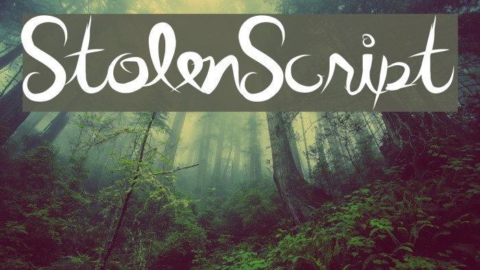 StolenScript Font examples