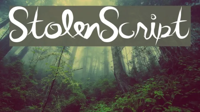 StolenScript Example 1