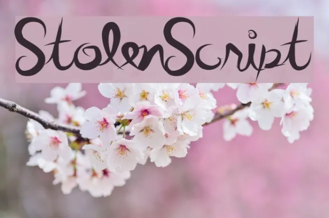 StolenScript Example 3