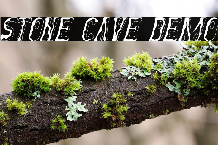 Stone Cave Demo Example 2