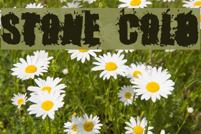 Stone Cold Font examples